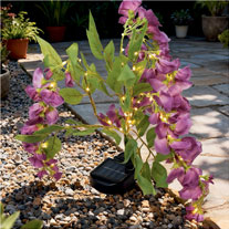 Spruce up your outdoor space